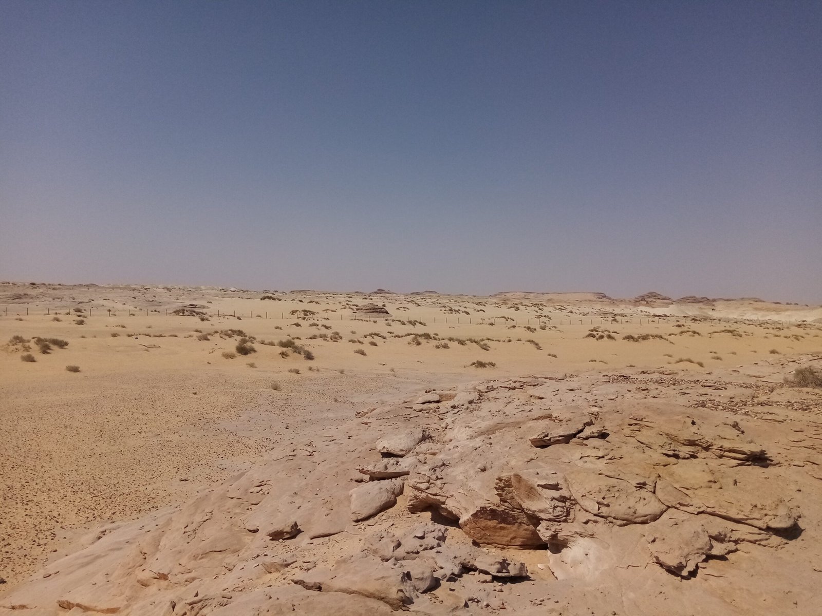 مشروع استشارات جيولوجية في السعودية من ركاز